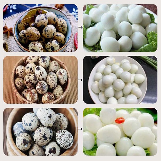 quail egg shell remover machine quail egg shell remover machine